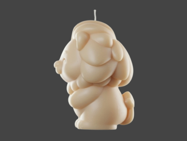 Molde Silicona Leoncito