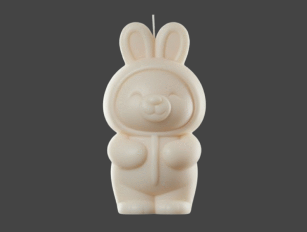 oso_disfraz_frontal Molde Silicona Osito Disfraz Conejo