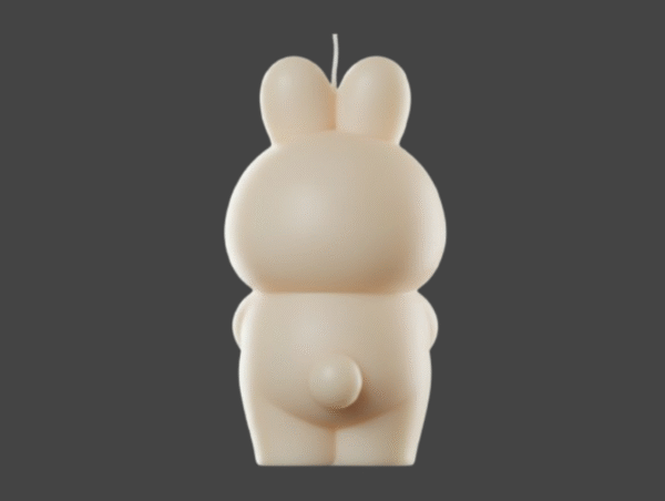 oso_disfraz_trasera Molde Silicona Osito Disfraz Conejo